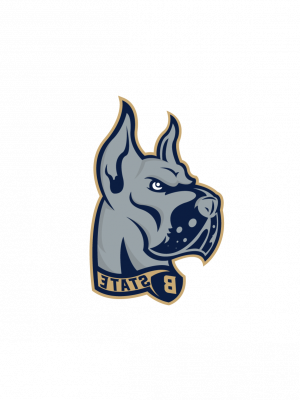 B State Logo